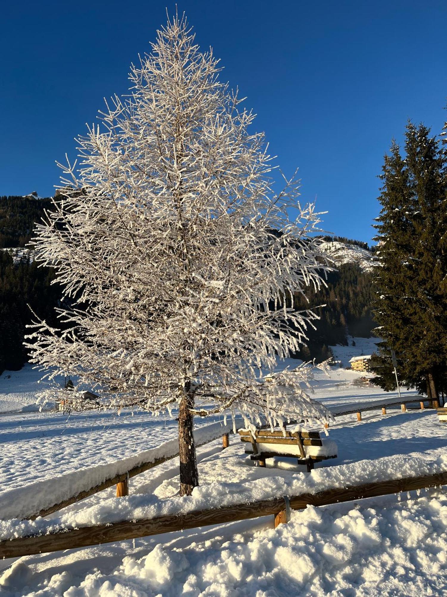Mes Lastei Apartamento Campitello di Fassa Exterior foto