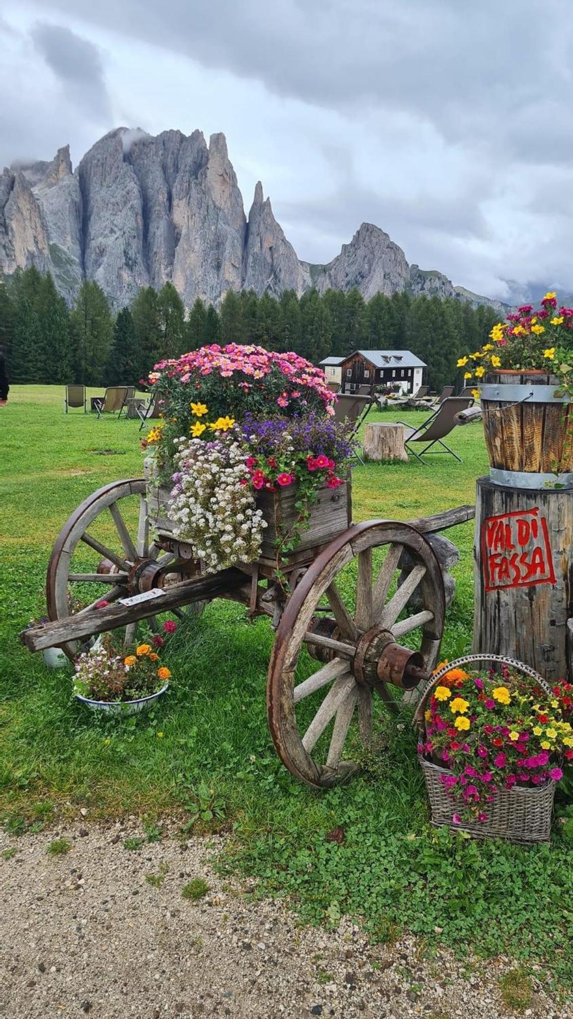 Mes Lastei Apartamento Campitello di Fassa Exterior foto